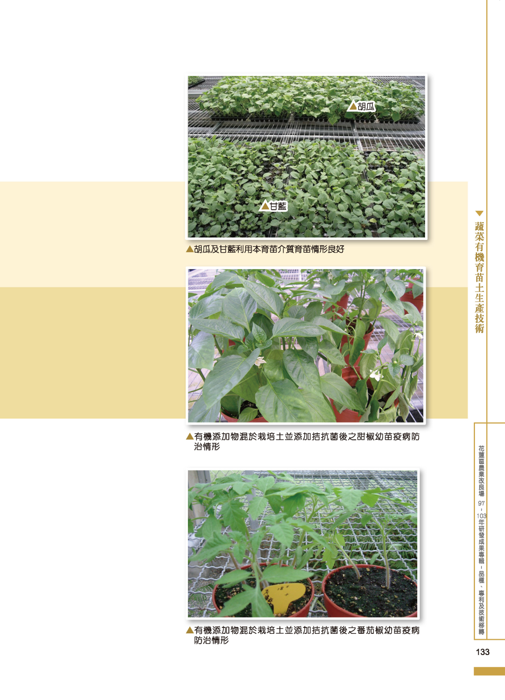 蔬菜有機育苗土生產-3