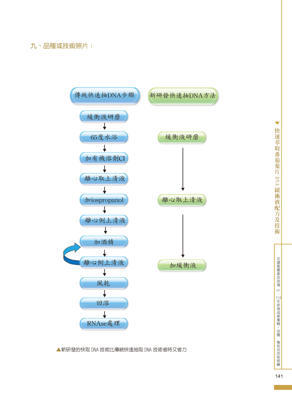 快速萃取番茄葉片DNA 緩衝液配方-3