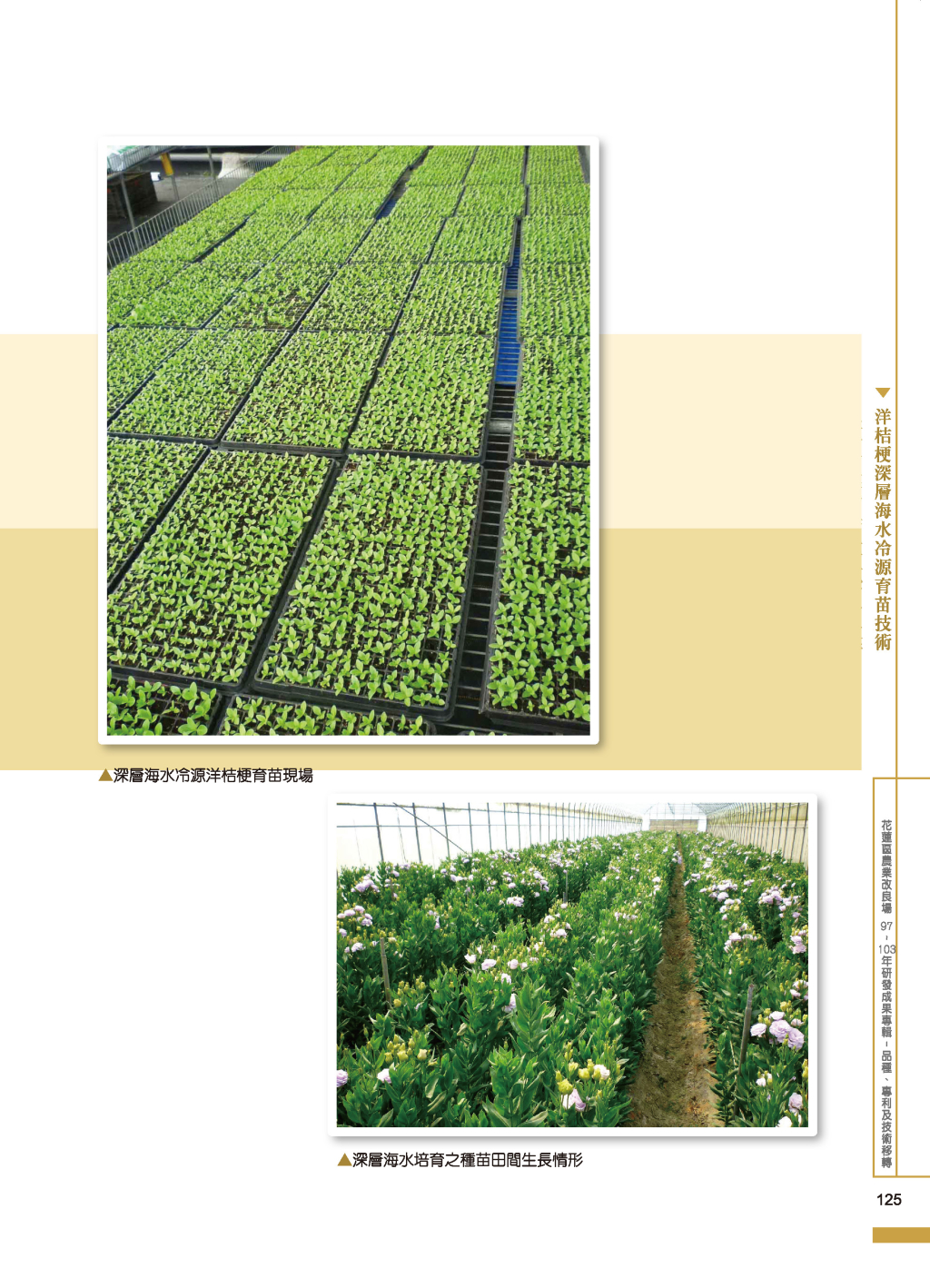 洋桔梗深層海水-4