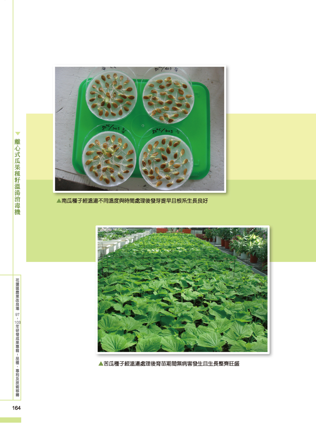 離心式瓜果種籽溫湯-3