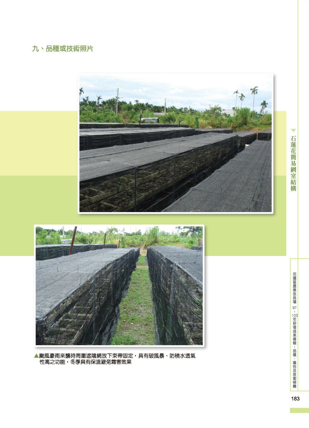 石蓮花簡易網室-2