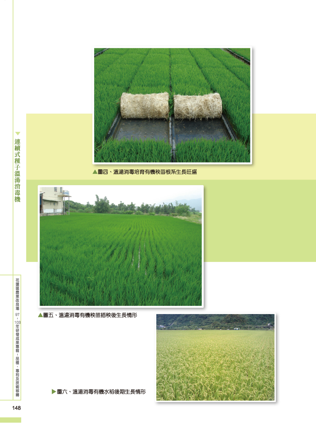 連續式種子溫湯-4