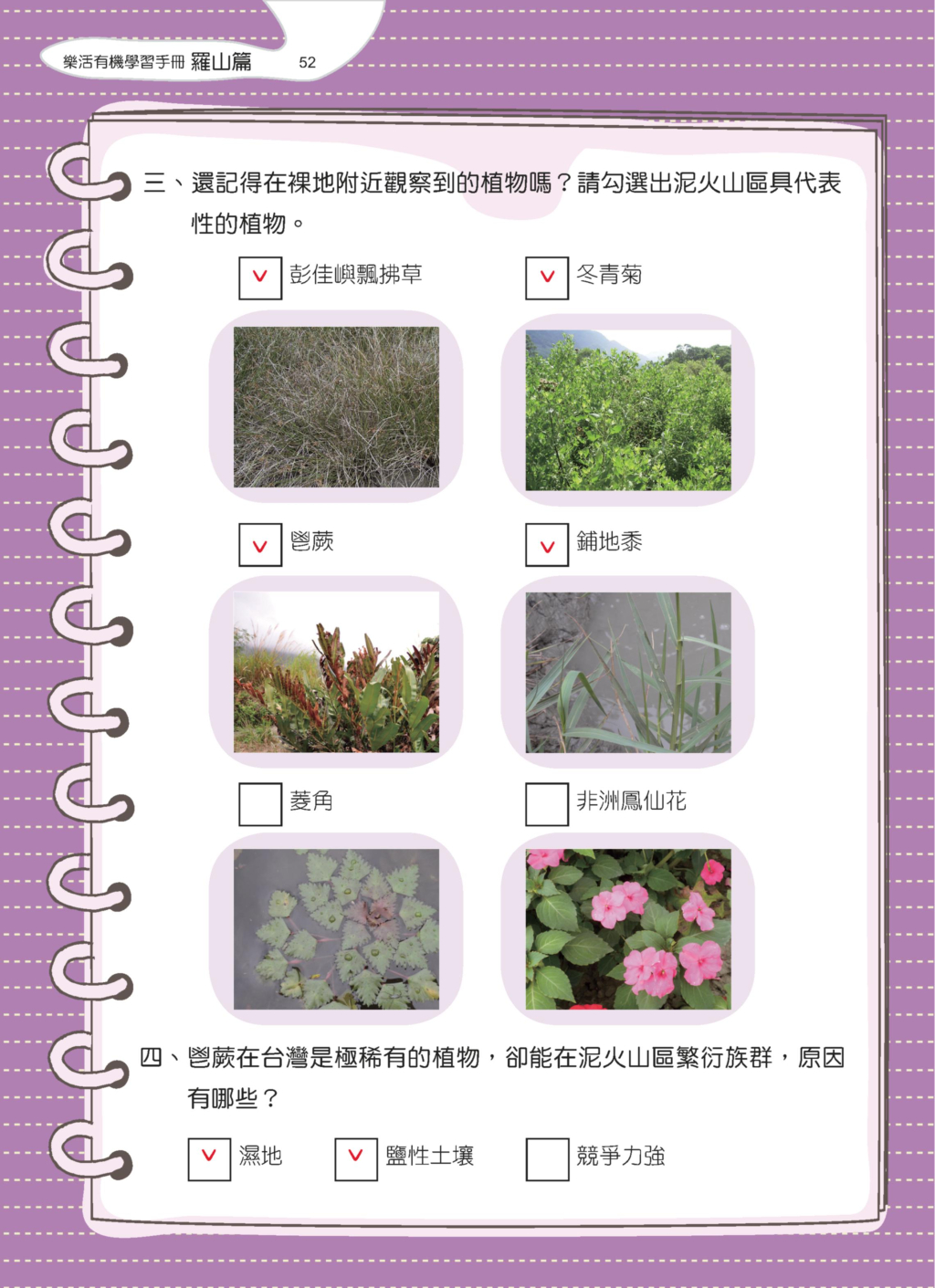 鬯蕨-6