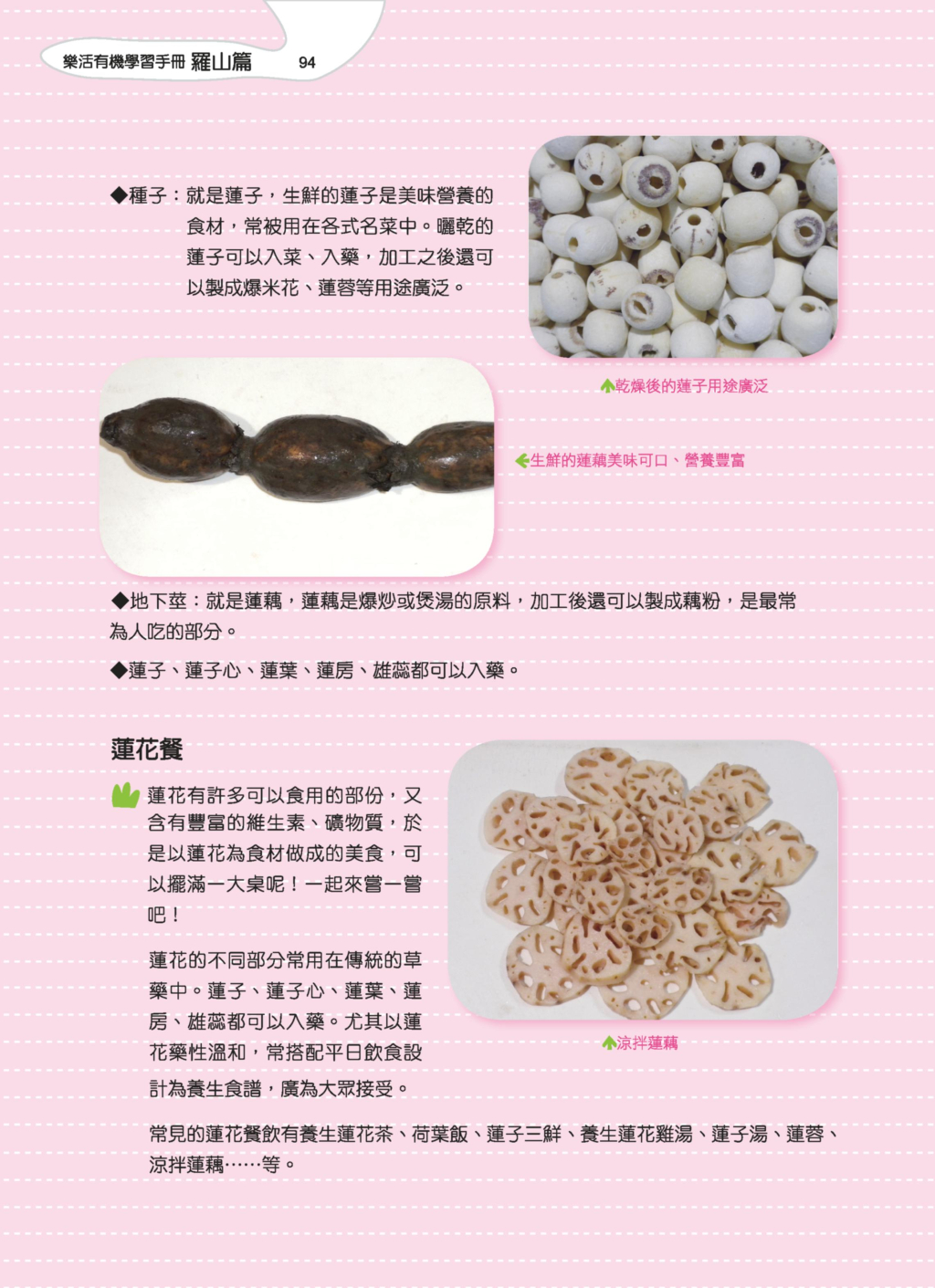 蓮花-13