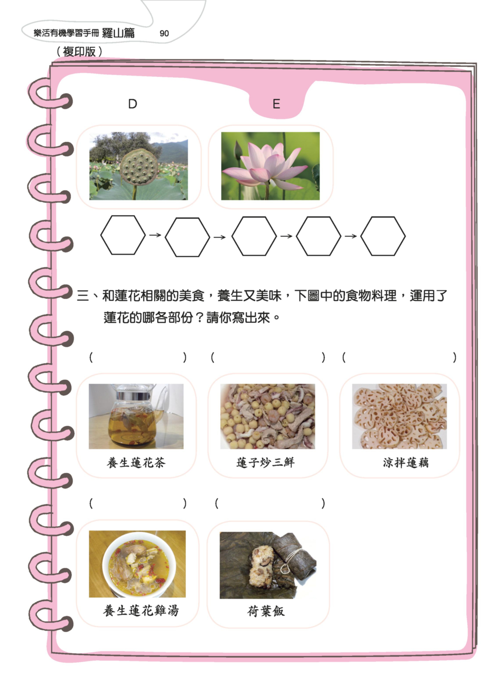 蓮花-9