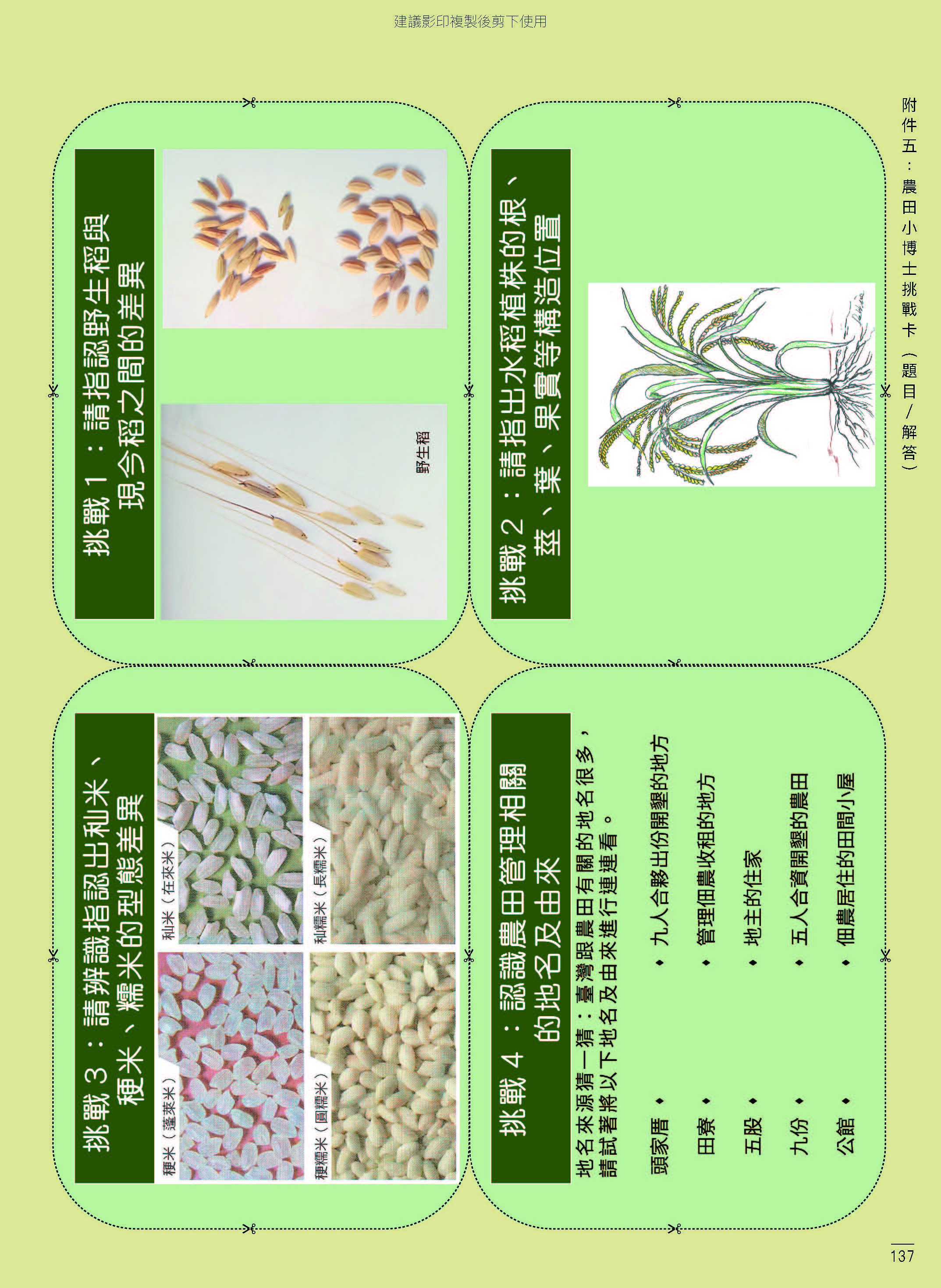 Part05。教案與實作—教案C：水稻的一生-16