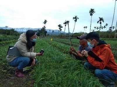 解決火蔥產業面臨挑戰—病蟲害綜合管理(IPM)模式研究