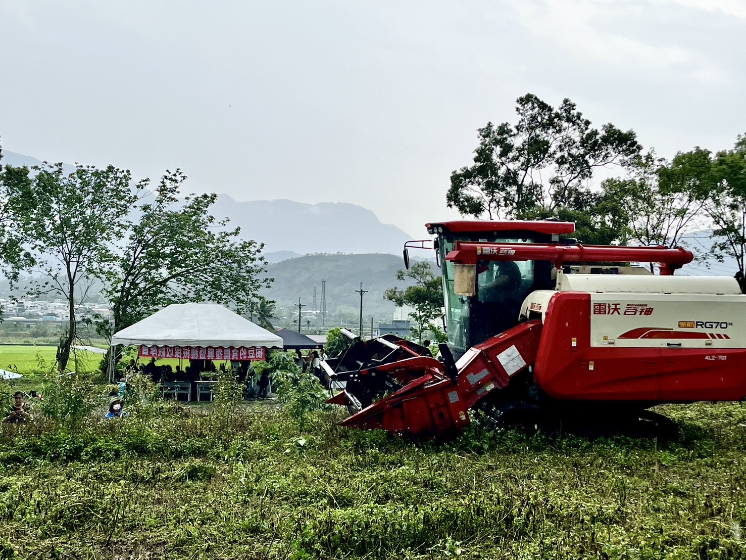 樹豆的食農復興 機械採收走進原鄉
