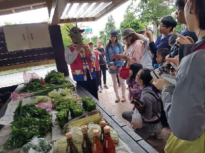 撒固兒部落自治委員會委員長黃金文解說野菜的名稱與料理方法--將另開視窗看原圖