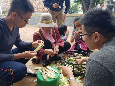 剝除老化的林投葉，留下雪白幼嫩的林投心--將另開視窗看原圖