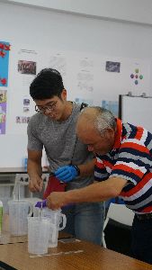 馬遠部落族人現場操作如何配製4-4式波爾多液--將另開視窗看原圖