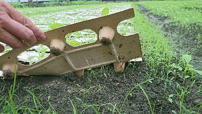 「多功能紙漿穴盤」可覆蓋土表，雜草抑制效果極佳，採收後可自然分解，無農業廢棄物--將另開視窗看原圖