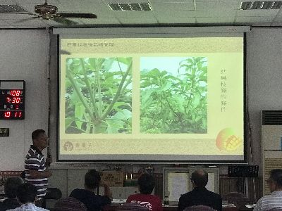 屏東縣潮州鎮果樹產銷班潘連進班長分享芒果採收後栽培管理--將另開視窗看原圖