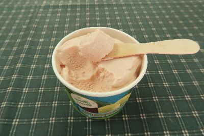 中山月拔和宜蘭紅肉拔加工製成的冰淇淋風味迷人--將另開視窗看原圖