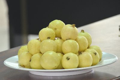 中山月拔果實成熟時果皮呈淡黃色--將另開視窗看原圖