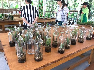 生物炭循環應用於土壤改良及DIY小物--將另開視窗看原圖