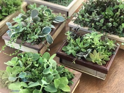 生物炭與農場生態小物結合的巧思--將另開視窗看原圖