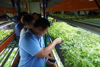 學員參觀國立花蓮高級農業職業學校生物機電科的智慧型植物工廠--將另開視窗看原圖