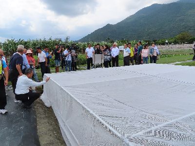 青蔥的「水平式防護網」，已通過颱風考驗，可減低青蔥3~4成的損失--將另開視窗看原圖