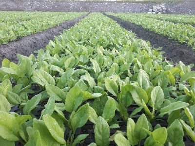 12/16--將另開視窗看原圖