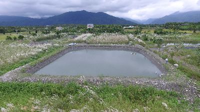 台灣鯛肥育池--將另開視窗看原圖