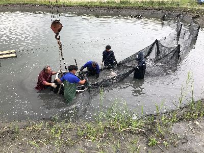 10/29捕魚--將另開視窗看原圖