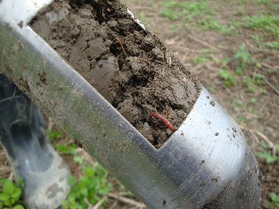 定期進行土壤採樣與分析，可作為全年施肥參考依據--將另開視窗看原圖