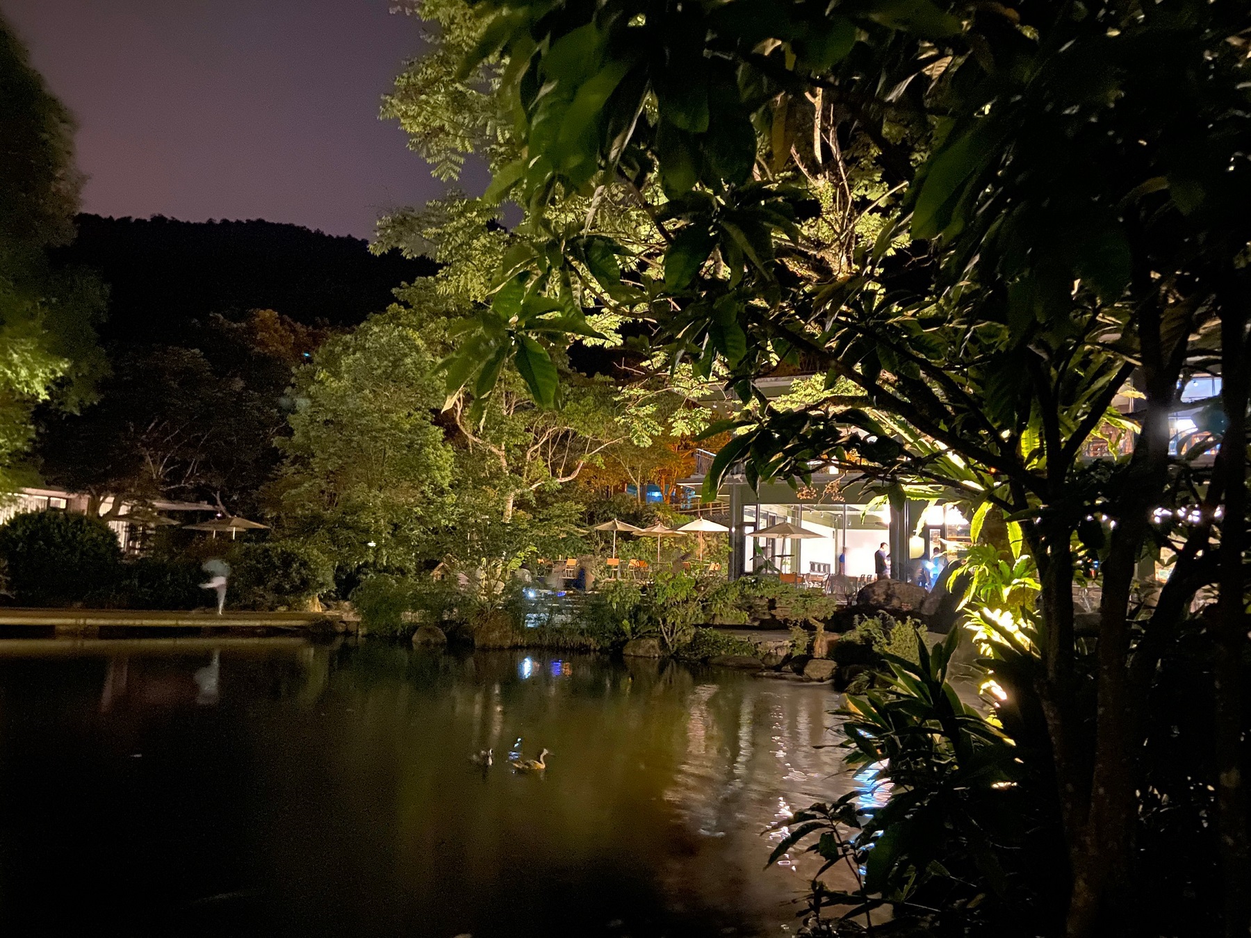 三富農場夜間生態導覽讓等遊客來探訪(圖片由三富農場提供)