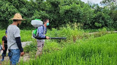 資深農業師傅協助新人熟悉工作--將另開視窗看原圖