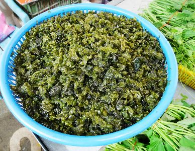 圖2.雨後快速生長的雨來菇，又稱「情人的眼淚」，含有豐富鐵質--將另開視窗看原圖