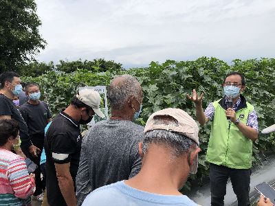 林文華助研員介紹實際試驗田區卡蜜拉哈密瓜之栽培情況--將另開視窗看原圖