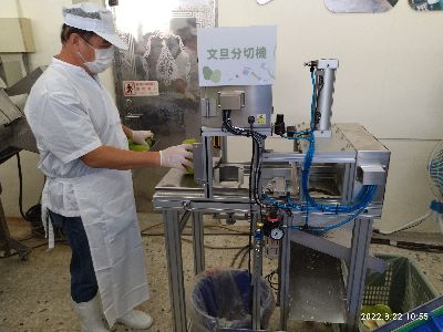 現場操作文旦分切機--將另開視窗看原圖