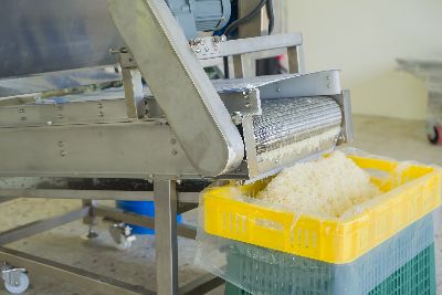 現場實際運作生產文旦柚果肉--將另開視窗看原圖