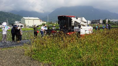 農友現場觀摩聯合收穫機採收樹豆--將另開視窗看原圖