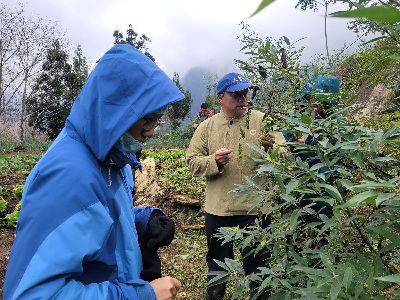 高山上的農耕工作坊，踏查大禮部落山胡椒的種植--將另開視窗看原圖
