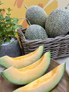 又甜又脆的「卡蜜拉」哈密瓜--將另開視窗看原圖
