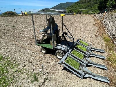 臺東場研發四行式連續紙穴盤電動移植機，解決傳統小米生產模式缺工問題--將另開視窗看原圖