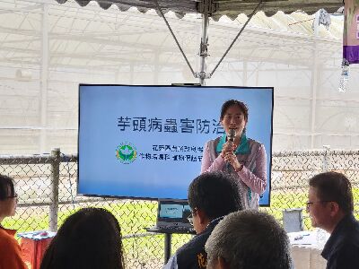 林立助理研究員介紹芋頭病蟲害防治--將另開視窗看原圖