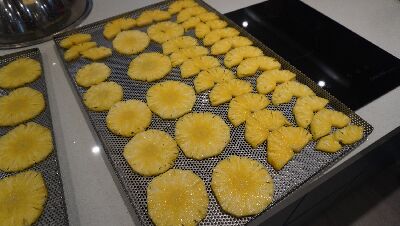 學員製作的鳳梨果乾--將另開視窗看原圖