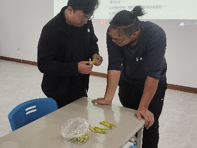 赤科山金針青農觀察花蓮區農業改良場育出之花蓮7號「豐美」花苞--將另開視窗看原圖