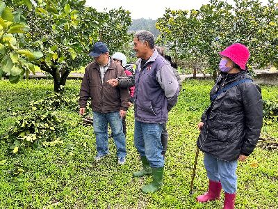 花蓮場人員進行果園現場輔導--將另開視窗看原圖