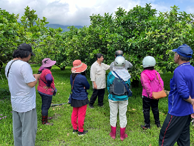 花蓮場人員進行果園現場輔導--將另開視窗看原圖