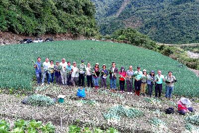 2023年南山部落三星蔥保種圃豐收下山，農糧署等單位亦前來關心--將另開視窗看原圖