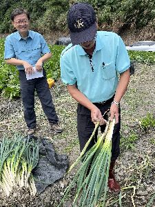 花蓮農改場楊大吉場長(左)表示農業部相當重視原民產業與坡地農業，與三星地區農會共同支持移地保種行動--將另開視窗看原圖