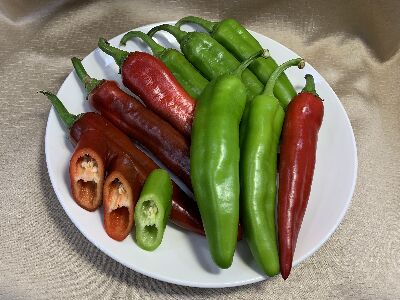 花蓮亞蔬1號－友辛＇辣椒果實--將另開視窗看原圖