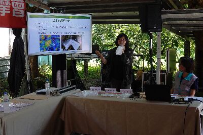 彭惠瑩助理研究員說明新型套袋試驗成果--將另開視窗看原圖