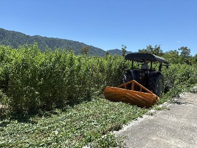 研究同仁於田間示範不整地滾壓機操作情形--將另開視窗看原圖