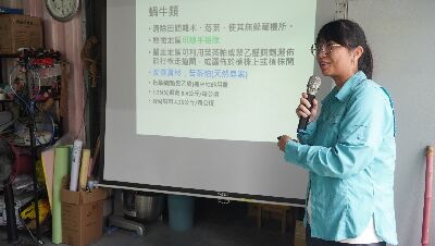 花蓮區農業改良場吳佳宜助理研究員介紹山蘇常見病蟲害防治及友善資材使用--將另開視窗看原圖