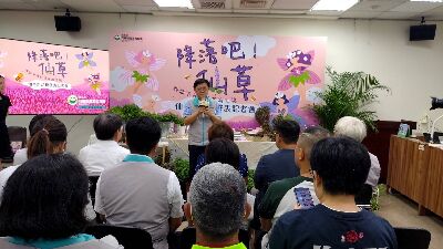 花蓮農改場場長楊大吉表示：「仙草是少數臺灣原生的作物，這次發表的四款新品種兼具可食、可觀、可保健與可營造農田生態；本場將持續與其他學研單位合作，深入研究其機能性，推廣仙草的多元利用。」--將另開視窗看原圖