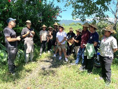 外國青農走讀彌勒果園，觀摩多樣化栽培的有機農場經營模式--將另開視窗看原圖